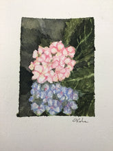 Load image into Gallery viewer, "Hydrangeas" #1 original watercolor painting