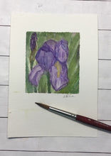 Load image into Gallery viewer, "Iris" original watercolor painting