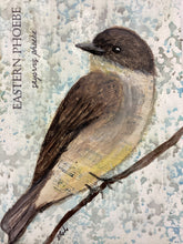 Load image into Gallery viewer, Eastern Phoebe, 5 x7 original mixed media painting, Day 26 of 100