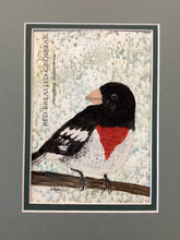 Load image into Gallery viewer, Rose Breasted Grosbeak, 5 x 7 original mixed media painting, Day 27 of 100