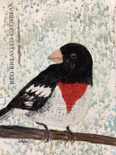 Load image into Gallery viewer, Rose Breasted Grosbeak, 5 x 7 original mixed media painting, Day 27 of 100