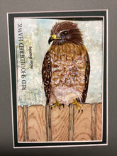 Load image into Gallery viewer, Red Shouldered Hawk, 5x7 original mixed media painting, 36 of 100
