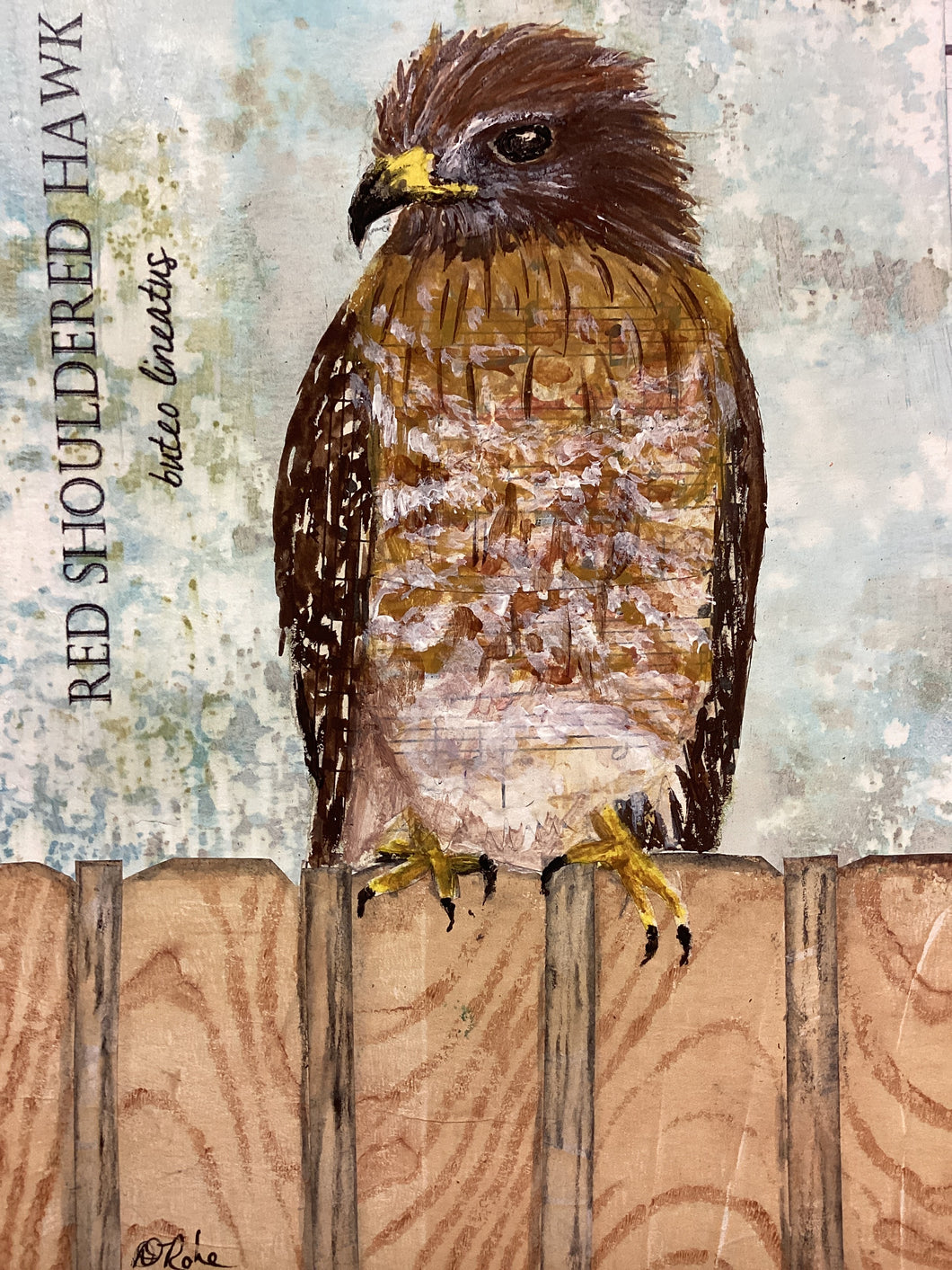 Red Shouldered Hawk, 5x7 original mixed media painting, 36 of 100