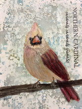 Load image into Gallery viewer, Northern Cardinal (female), 5x7 original mixed media painting, 39 of 100