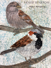 Load image into Gallery viewer, House Sparrow, 5x7 original mixed media painting, 41 of 100