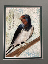 Load image into Gallery viewer, Barn Swallow, 5 x 7 original mixed media painting, 42 of 100