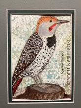 Load image into Gallery viewer, Northern Flicker, 5x7 original mixed media painting, 44 of 100