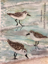 Load image into Gallery viewer, Western Sandpiper, 5x7 original mixed media painting, 48 of 100