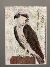 Load image into Gallery viewer, Osprey, 5x7 original mixed media painting, 49 of 100