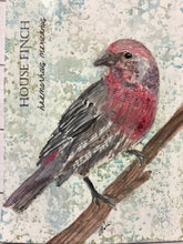 Load image into Gallery viewer, House Finch, 5x7 original mixed media painting, 54 of 100