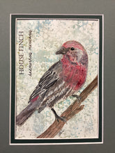 Load image into Gallery viewer, House Finch, 5x7 original mixed media painting, 54 of 100