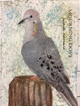 Load image into Gallery viewer, Mourning Dove, 5x7 original mixed media painting, 52 of 100