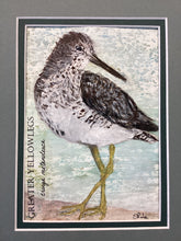 Load image into Gallery viewer, Greater Yellowlegs, 5x7 original mixed media painting, 55 of 100