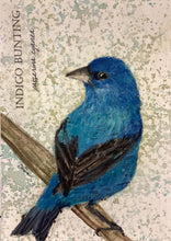 Load image into Gallery viewer, Indigo Bunting, 5x7 original mixed media painting, 59 of 100