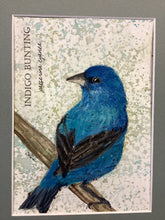 Load image into Gallery viewer, Indigo Bunting, 5x7 original mixed media painting, 59 of 100