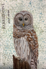 Load image into Gallery viewer, Barred Owl, 5x7 original mixed media painting, 60 of 100