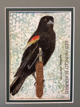 Load image into Gallery viewer, Red-Winged Blackbird, 5x7 original mixed media painting, 61 of 100