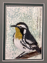 Load image into Gallery viewer, Yellow-Throated Warbler, 5x7 original mixed media painting, 63 of 100