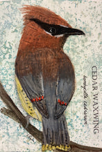 Load image into Gallery viewer, Cedar Waxwing, 5x7 original mixed media painting, 65 of 100