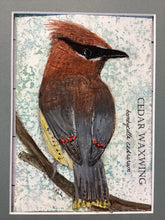 Load image into Gallery viewer, Cedar Waxwing, 5x7 original mixed media painting, 65 of 100