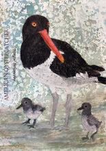 Load image into Gallery viewer, American Oystercatcher, 5x7 original mixed media painting, 66 of 100