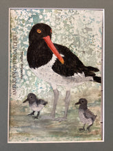 Load image into Gallery viewer, American Oystercatcher, 5x7 original mixed media painting, 66 of 100