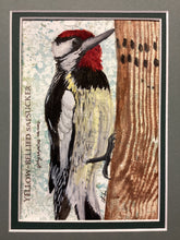 Load image into Gallery viewer, Yellow-Bellied Sapsucker, 5x7 original mixed media painting, 67 0f 100