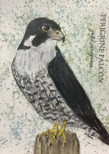 Load image into Gallery viewer, Peregrine Falcon, 5x7 original mixed media painting, 72 of 100