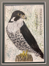Load image into Gallery viewer, Peregrine Falcon, 5x7 original mixed media painting, 72 of 100