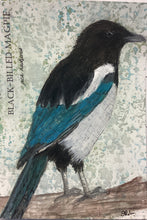 Load image into Gallery viewer, Black-Billed Magpie, 5x7 original mixed media painting, 73 of 100