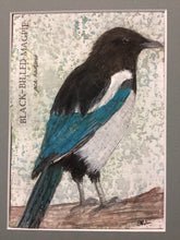 Load image into Gallery viewer, Black-Billed Magpie, 5x7 original mixed media painting, 73 of 100