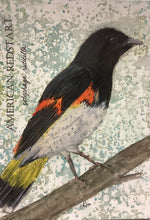 Load image into Gallery viewer, American Redstart, 5x7 original mixed media painting, 74 of 100