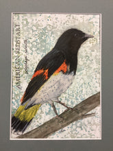 Load image into Gallery viewer, American Redstart, 5x7 original mixed media painting, 74 of 100