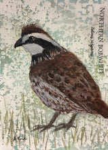 Load image into Gallery viewer, Northern Bobwhite, 5x7 original mixed media painting, 77 of 100