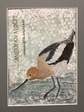 Load image into Gallery viewer, American Avocet, 5x7 original mixed media painting, 78 of 100