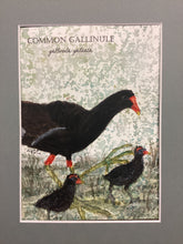 Load image into Gallery viewer, Common Gallinule, 5x7 original mixed media painting, 79 of 100