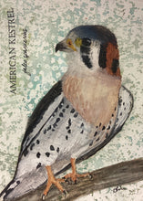 Load image into Gallery viewer, American Kestrel, 5x7 original mixed media painting, 83 of 100