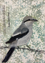 Load image into Gallery viewer, Loggerhead Shrike, 5x7 original mixed media painting, 86 of 100