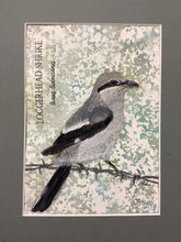 Load image into Gallery viewer, Loggerhead Shrike, 5x7 original mixed media painting, 86 of 100