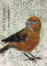 Load image into Gallery viewer, Red Crossbill, 5x7 original mixed media painting, 87 of 100