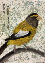 Load image into Gallery viewer, Evening Grosbeak, 5x7 original mixed media painting, 88 of 100