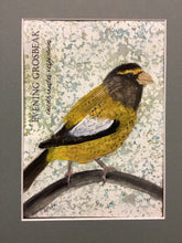 Load image into Gallery viewer, Evening Grosbeak, 5x7 original mixed media painting, 88 of 100