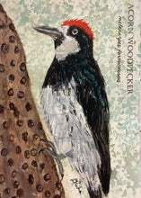 Load image into Gallery viewer, Acorn Woodpecker, 5x7 original mixed media painting, 89 of 100