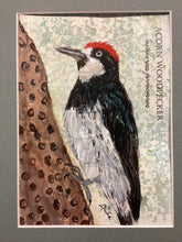 Load image into Gallery viewer, Acorn Woodpecker, 5x7 original mixed media painting, 89 of 100