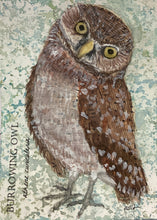 Load image into Gallery viewer, Burrowing Owl, 5x7 original mixed media painting, 91 of 100