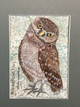 Load image into Gallery viewer, Burrowing Owl, 5x7 original mixed media painting, 91 of 100