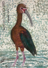 Load image into Gallery viewer, White-Faced Ibis, 5x7 original mixed media painting, 92/100