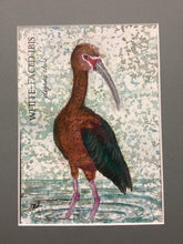 Load image into Gallery viewer, White-Faced Ibis, 5x7 original mixed media painting, 92/100