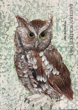 Load image into Gallery viewer, Eastern Screech Owl, 5x7 original mixed media painting, 97 of 100
