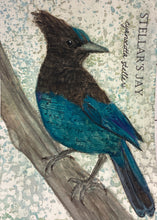 Load image into Gallery viewer, Stellar's Jay, 5x7 original mixed media painting, 98 of 100
